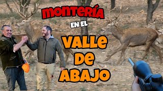 MONTERIA EN EL VALLE DE ABAJO TOLEDO EL DIA QUE LA CAZA ME DEJO ABRUMADO NUNCA VÍ TANTAS RESES [upl. by Dorella]