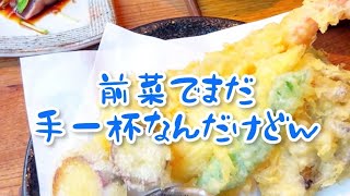 【ランチ】ひと通りセット頼んだらすごかった【うどん山長】 [upl. by Rot]