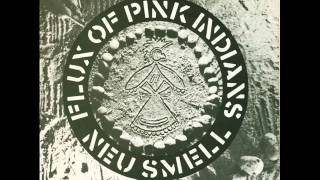 Flux Of Pink Indians  Neu SmellTube DisasterPoem [upl. by Natsirk]