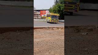 PLACY bus transport on thuraiyur 🔁 kumbakonam bus short video [upl. by Llerryt]