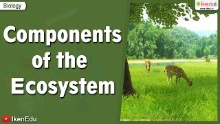 Components of the Ecosystem  Science videos  iKen  iKen Edu  iKen App [upl. by Eichman]