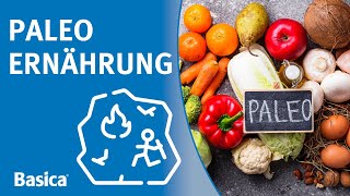 PaleoDiät Wie gesund ist die Ernährung aus der Steinzeit [upl. by Niloc936]