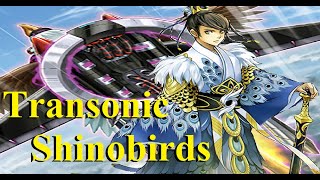 Transonic Shinobirds The Cards the Combos amp the Wombos [upl. by Neelyk771]