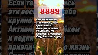 Возьмите красную нить и намотайте её на ручку входной двери приметы эзотерика астрология таро [upl. by Lleumas]