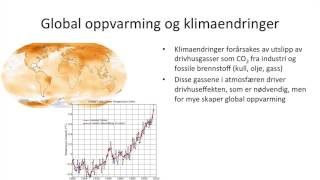 Samfunnsfag  Økonomisk vekst og bærekraftig utvikling [upl. by Pirali]