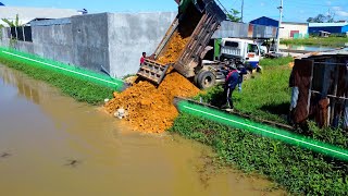 New Project Dozer amp 5T Truck pushing stone into Flooded farmland [upl. by Tima]