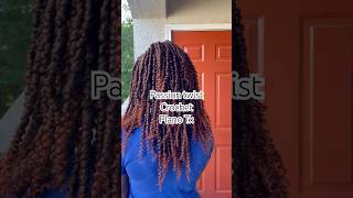 Passion Twists Crochet Braids hairshorts shorts braids [upl. by Arlana]