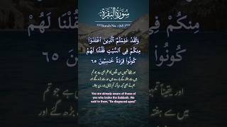 ALBAQARAH Ayat 6566 URDU TRANSLATION shortsfeed urdutranslationbaqarah quranrecitation [upl. by Eeryt]