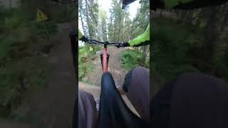 Some Rowdy Downhill in Trysil Bike Park [upl. by Haibot53]