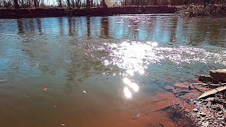 Scouting Along the Raritan River Fishless Day [upl. by Fayina]