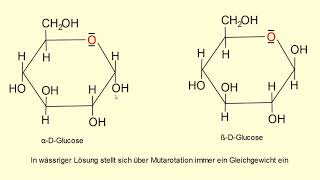 Kohlenhydrate Ringbildung [upl. by Hammad46]