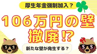 106万円の壁が撤廃される⁉106万円の壁撤廃社会保険厚生年金 [upl. by Adarbil]