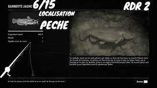 Tout Les Poissons 615 La Barbotte Jaune Localisation Red Dead Redemption 2 [upl. by Lleddaw]