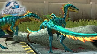 NEW FEEDING ANIMATION COMPSOGNATHUS MAX LEVEL 40  COMPY LEVEL 40  Jurassic World The Game Hoorikz [upl. by Hsima]