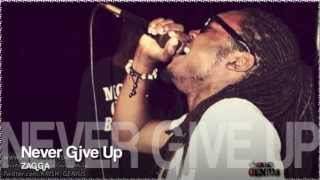 Zagga  Never Give Up Tropical Escape Riddim Dec 2012 [upl. by Hnilym212]