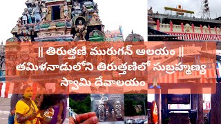 Thiruthani Murugan Temple  Subramanya Swamy  Karthikeya Swamy trending viralvideo [upl. by Learsiy]