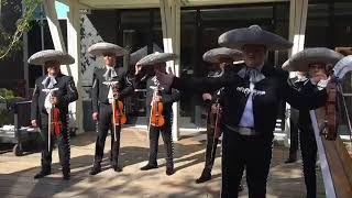 Mariachi Vargas de Tecalitlan [upl. by Wakerly758]