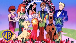 ScoobyDoo Movies en Latino  Ita Groovy 🌼  WBKidsLatino [upl. by Uriiah]