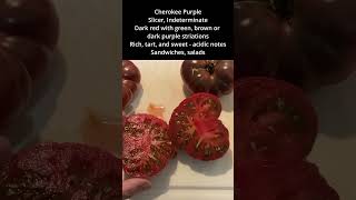 Cherokee Purple Tomatoes Unique Heirloom Variety [upl. by Elcarim]