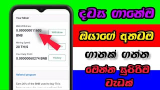 දවස ගානෙම ඔයාගේ අතටම ගානක් මෙන්න සුපිරිම වැඩක්❤️  Free Online Money Erning Site Sinhala 2024 BNB [upl. by Hanauq]