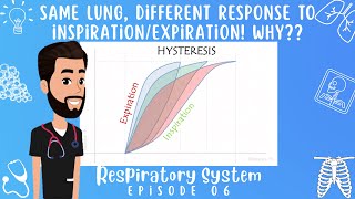 Lung HYSTERESIS 5 Minutes of Physiology explained Respiratory System Episode 06 [upl. by Courtund]