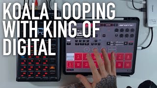 Koala Sampler amp Audio Kit King Of Digital Looping Workflow  NervousCook [upl. by Ortrud]