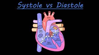 The difference between systole and diastole [upl. by Kristen]