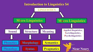 introduction to linguistics S4 English Studies university BA Degree Bachelor [upl. by Husain]