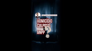 Hom1c1d1 culposo e o ANPP [upl. by Livvyy]