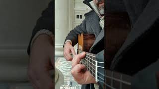 The Immigrant fingerstyle soundjourneys guitar theimmigrant citylife art streetlife [upl. by Peale]