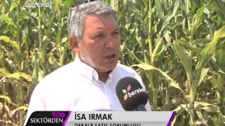 Bereket TV Konya DEKALB Mısır Festivali 2014 Konya DEKALB Corn Festival 2014 [upl. by Abate]