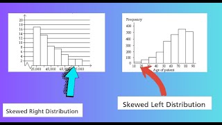 Skewed to the Left or Skewed to the Right [upl. by Neesay]