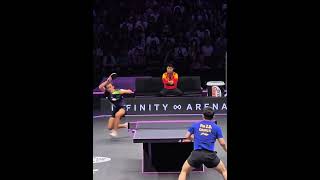 Fan Zhendong vs Hugo Calderano  Best Point 2024 tenisdemesa tabletennis 🏓 🏓 [upl. by Hollyanne]