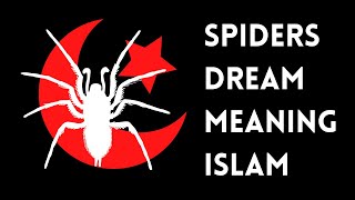 Spiders Dream Meaning Islam  Spider Dream Meaning In Islam  Dream Meaning Spider [upl. by Lledrev]