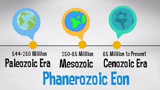 Phanerozoic Eon  Geologic Time Scale with events [upl. by Erine237]