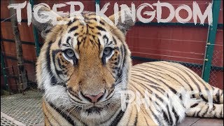 Tiger Kingdom Thailand Phuket [upl. by Carney]