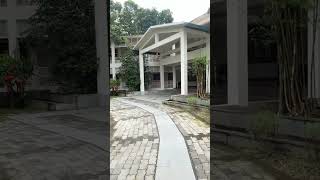 Iora resort and hotel kaziranga beautiful place trending shorts viralreels youtubeshorts [upl. by Ttevi829]