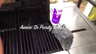 How to Clean Your Oven amp Grill Naturally the Norwex Way [upl. by Aekan394]