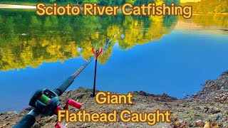 This Deep River Channel hold’s a Giant Catfish PB Caught 50Ib Flathead [upl. by Evers]