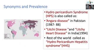 Hydropericardium syndrome [upl. by Sinclair]