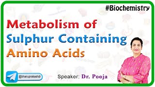Metabolism Of Sulphur Containing Amino Acids  Biochemistry [upl. by Aneis]