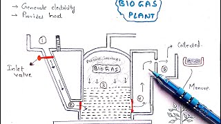 Methane production  Biogas plant  Working  Mechanism  Methanogens  Biogas production [upl. by Eelik]