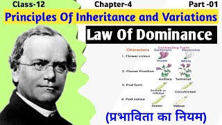 Mendels Law of Dominance Explained  Principle of inheritance and variation  Class 12 Biology [upl. by Ynej]