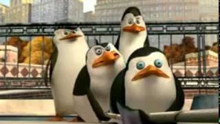 Funny The Penguins Of Madagascar [upl. by Anyaj444]