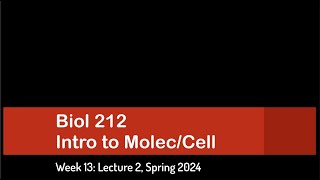 CSULB Spring 2024 Biol 212  Week 13 Lecture 2 [upl. by Ennaoj371]