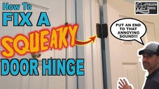 How To Fix A Squeaky Door Hinge Phillips Vision Episode  43 [upl. by Sundin192]