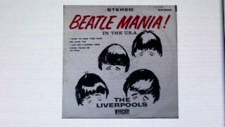 quotWhenever Im Feeling Lowquot The Liverpools from the 1964 album quotBeatlemania in The USAquot [upl. by Mahtal]