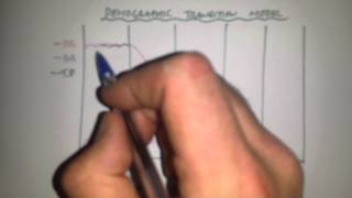 The Demographic Transition Model [upl. by Naitirb]