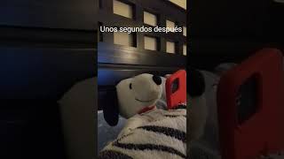 Me desconcertó humor snoopy memes funny tarea [upl. by Ydnih521]