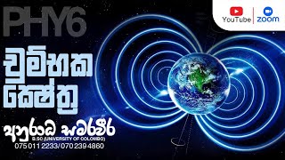 චුම්භක ක්ෂේත්‍ර  Part 01 Anuradha Samaraweera Phy6 [upl. by Shantee]